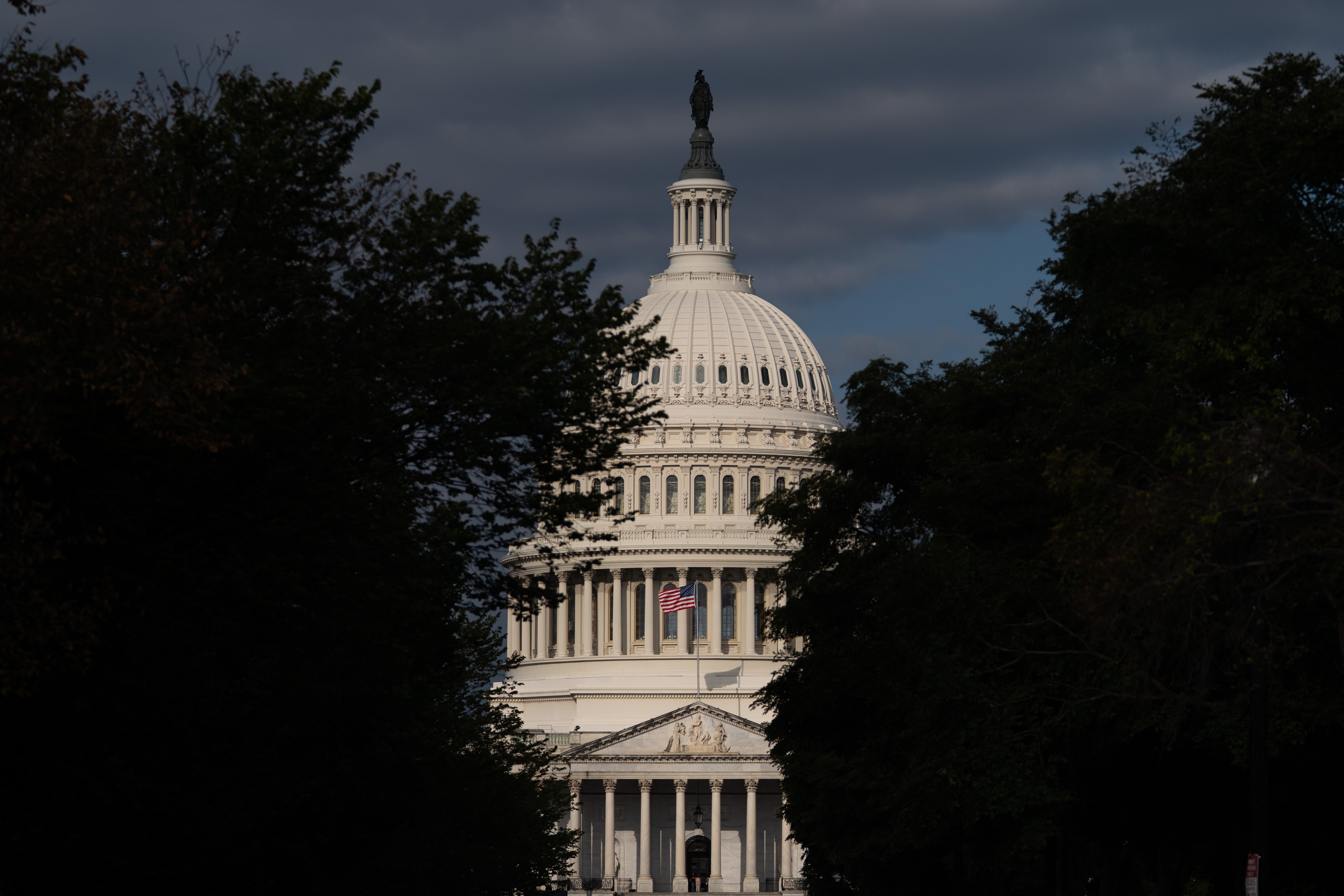 The U.S. Capitol, Washington, D.C.<br> A new report from the International Institute for Democracy and Electoral Assistance finds U.S. democracy at 50-year low.